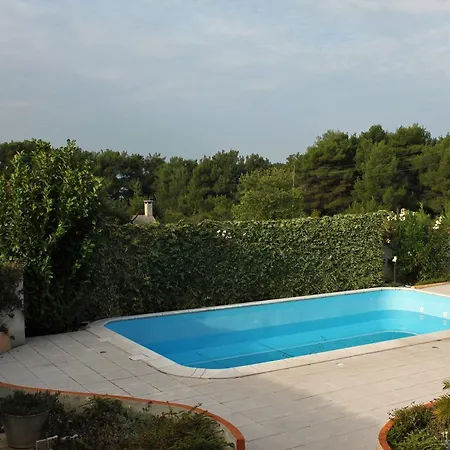 - Diklo 5774b * Zadar